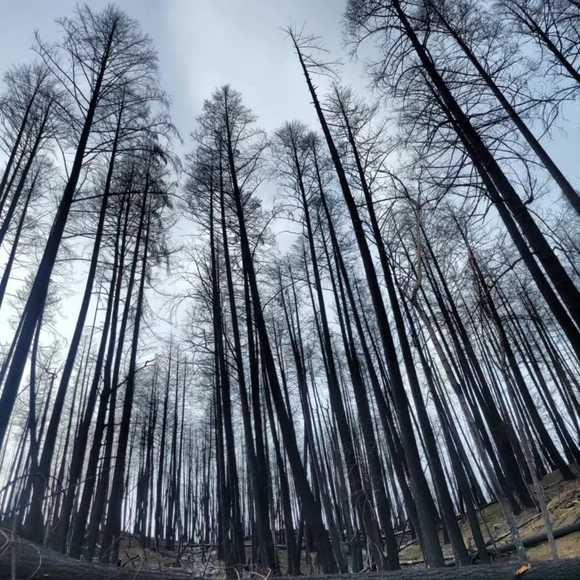 Hey there - Picture 1 of 1